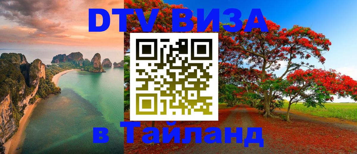 Оформление DTV визы под ключ: стоимость и тарифы, только загранпаспорт - 18.11.2025 